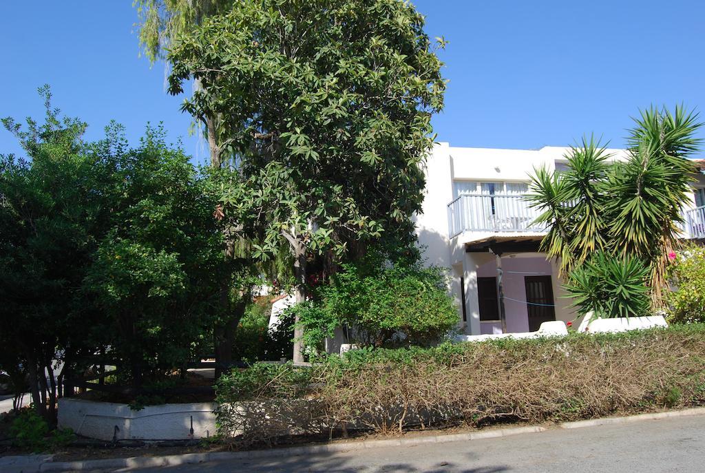 Margarita 110 Apartment Paphos Room photo